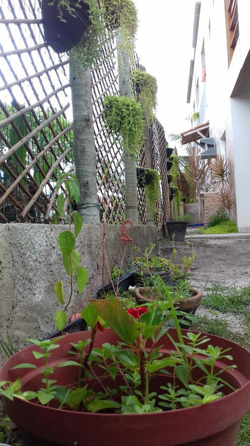 Tribo de Gaia Itaunas (Espirito Santo) Exterior foto